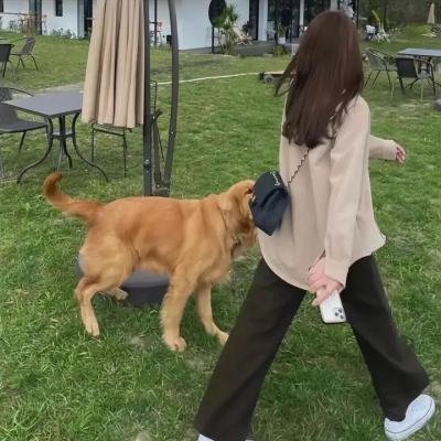 曝露的爱情
