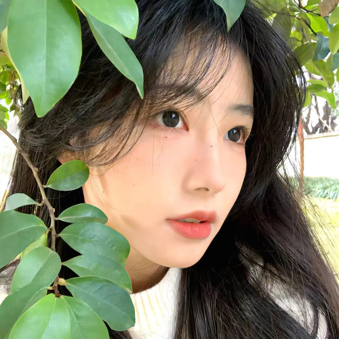 一个用英明撑起的国家